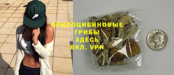 ECSTASY Бронницы