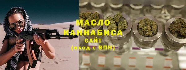 дживик Бородино