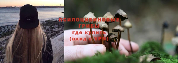 дживик Бородино