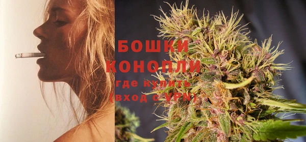 дживик Бородино