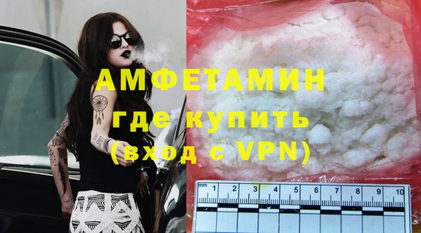 дживик Бородино