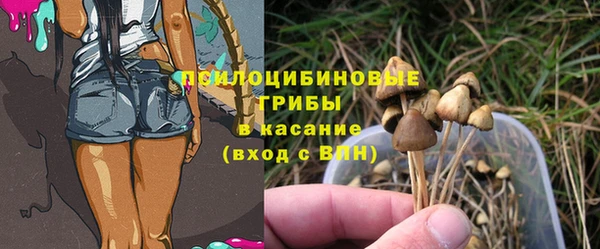 гидра Верея