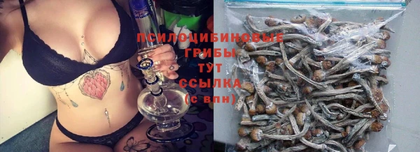 дживик Бородино