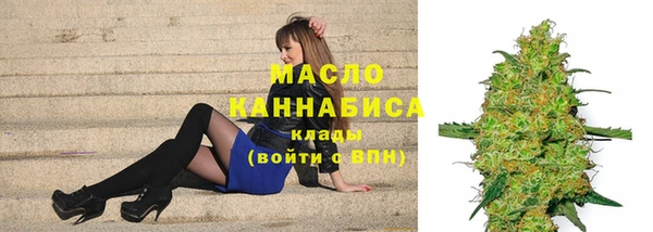 дживик Бородино